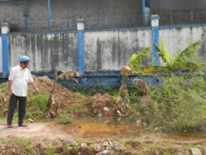 Lại phát hiện doanh nghiệp xả thải trái phép